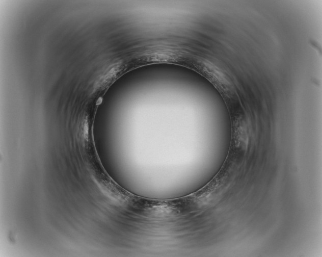 X0000098000310200803241348