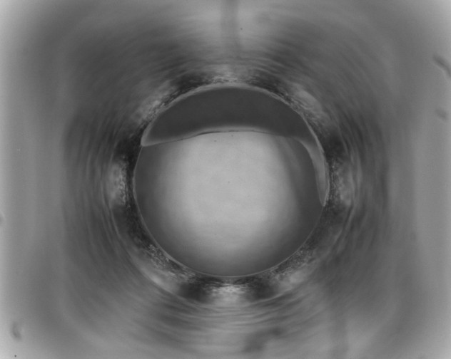 X0000098000312200803241348