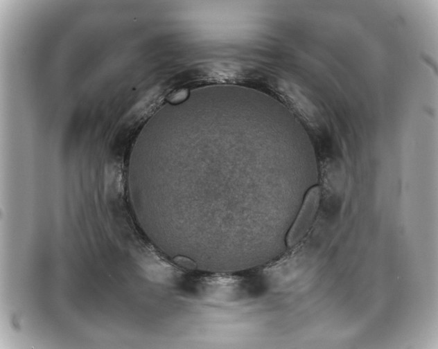 X0000098000313200803241348
