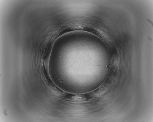 X0000098000315200803241348
