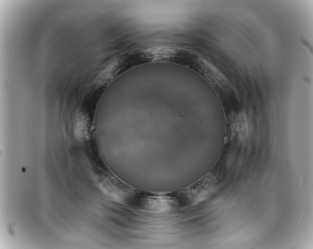 X0000098000316200803241348