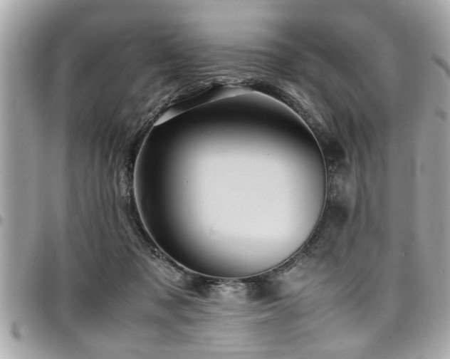 X0000098000317200803241348