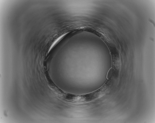 X0000098000319200803241348