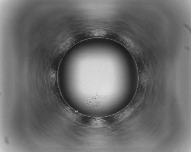 X0000098000321200803241348