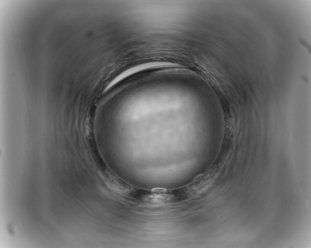 X0000098000323200803241347