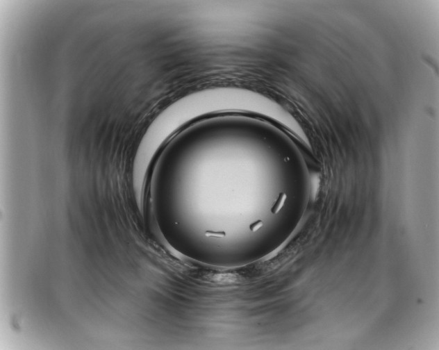 X0000098000324200803241347