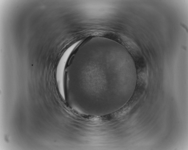 X0000098000325200803241347