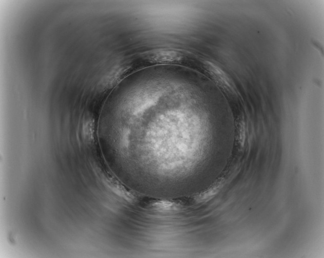 X0000098000326200803241347