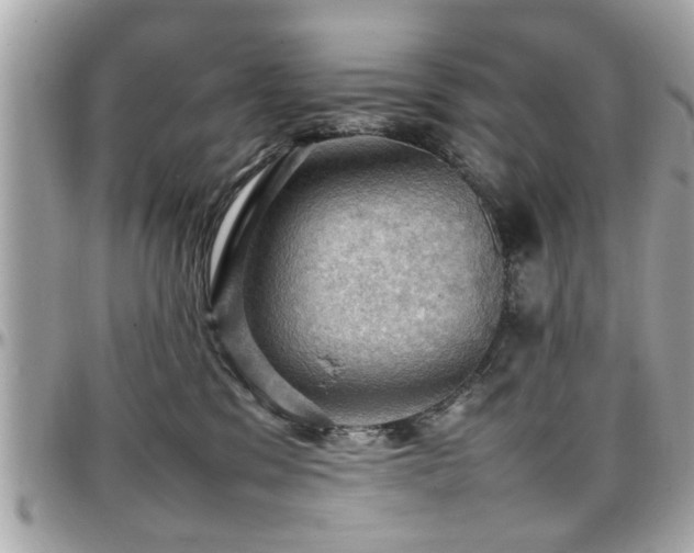 X0000098000329200803241347