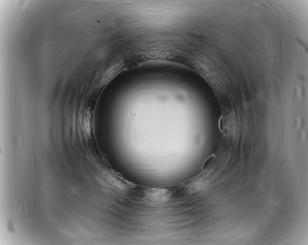 X0000098000334200803241347