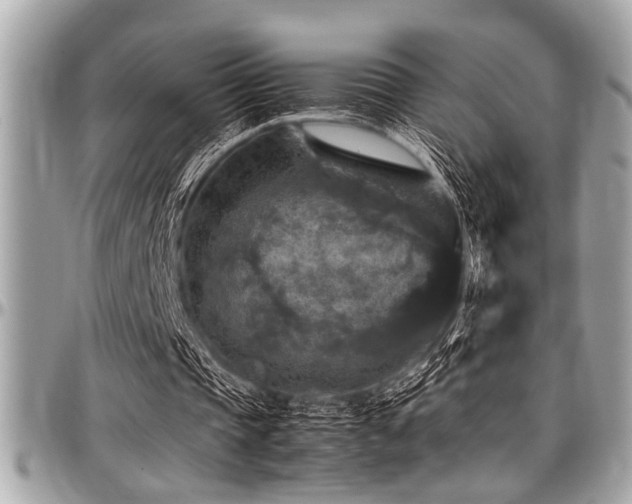 X0000098000337200803241347