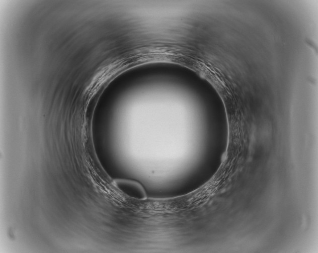 X0000098000338200803241347
