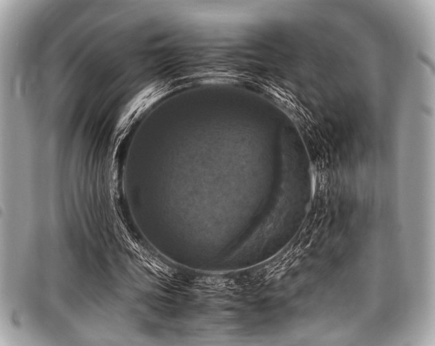 X0000098000339200803241347