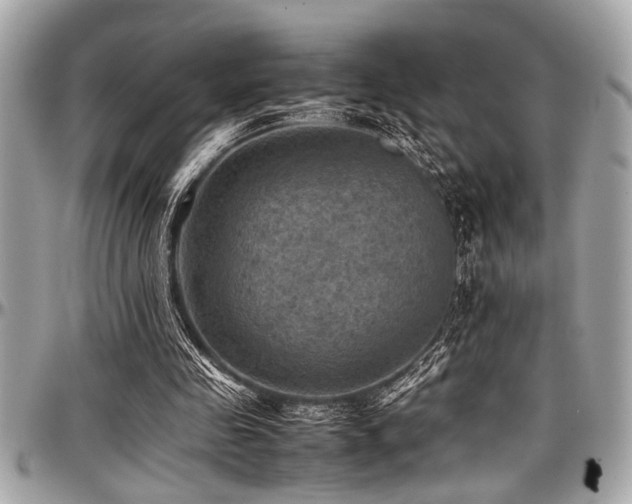 X0000098000341200803241347
