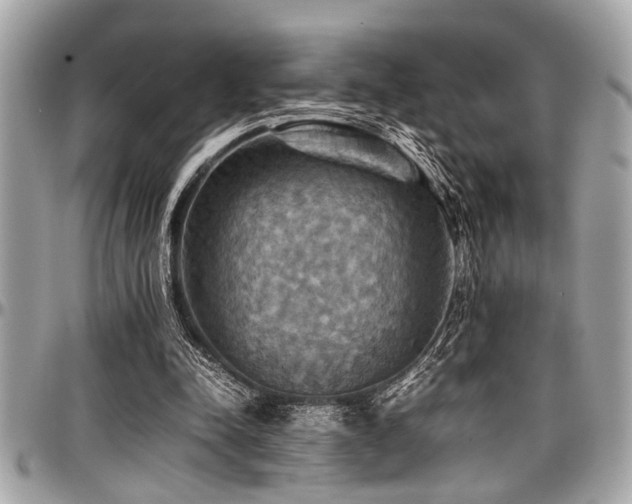 X0000098000342200803241347