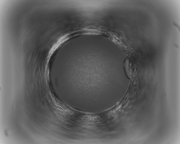 X0000098000343200803241347