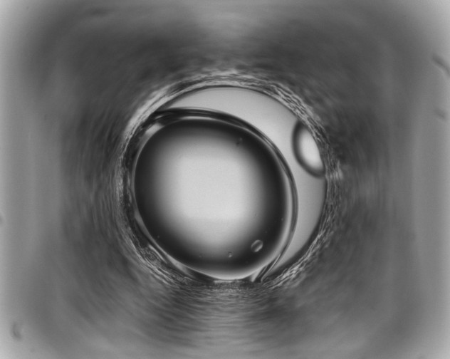 X0000098000344200803241347