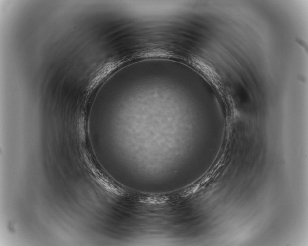 X0000098000345200803241347