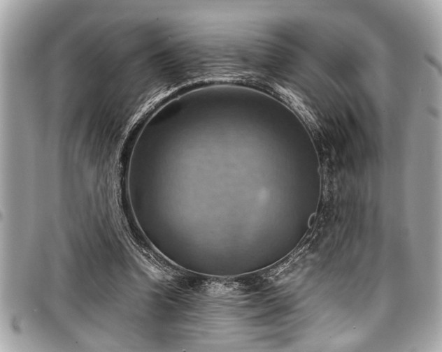 X0000098000346200803241347