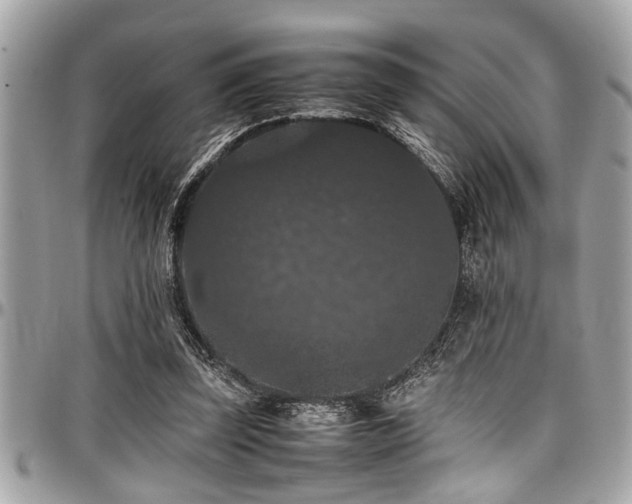 X0000098000347200803241347