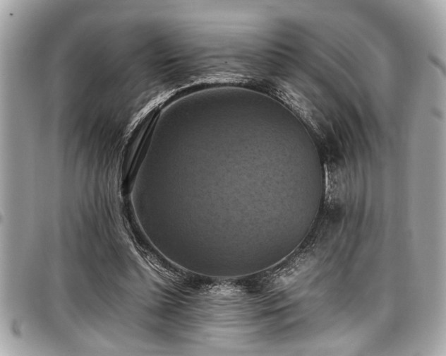 X0000098000348200803241347