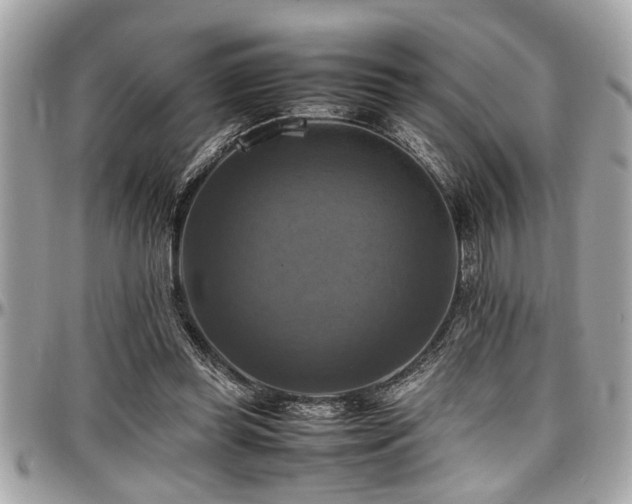 X0000098000349200803241347