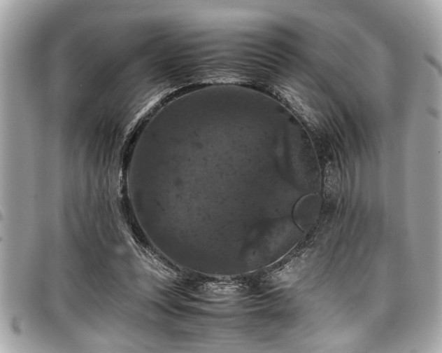 X0000098000351200803241347