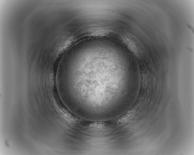 X0000098000354200803241347
