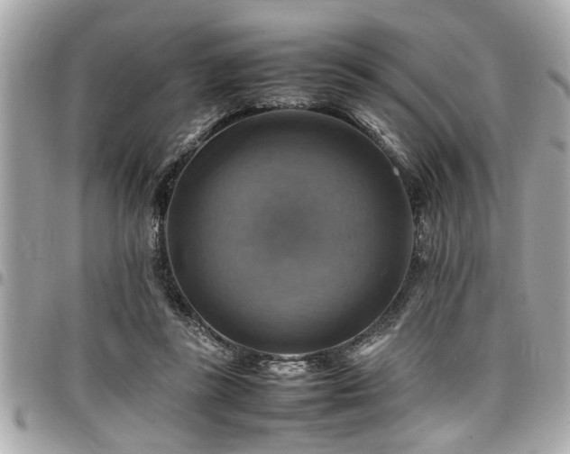 X0000098000355200803241347