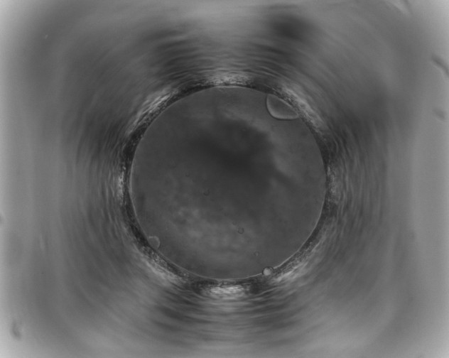 X0000098000357200803241347