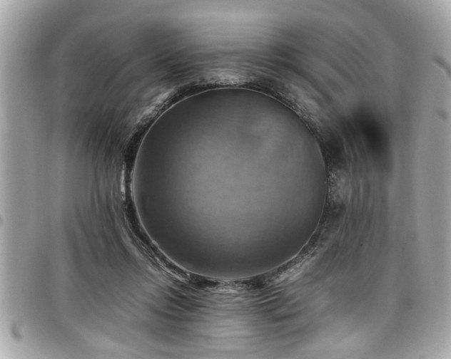 X0000098000358200803241347
