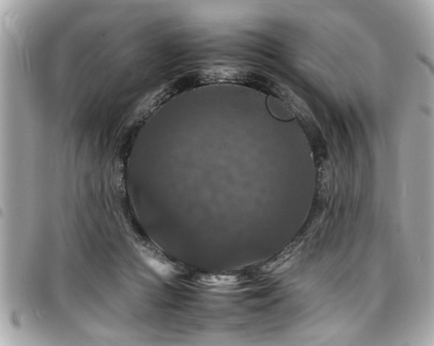 X0000098000361200803241347