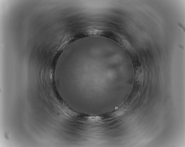 X0000098000363200803241347