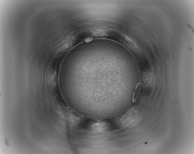 X0000098000364200803241347