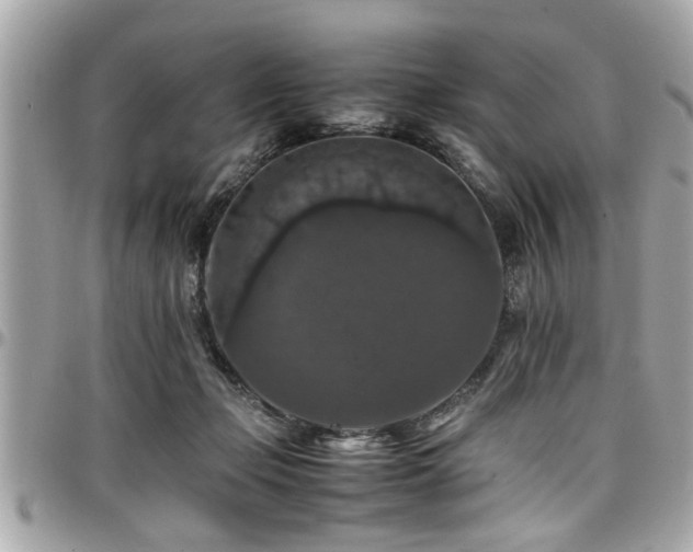 X0000098000365200803241347