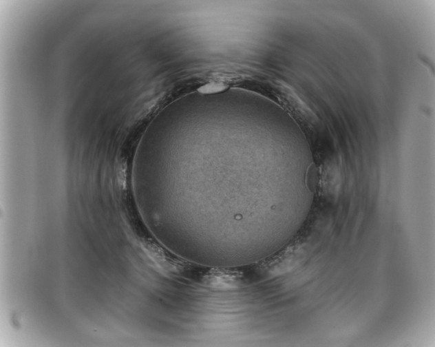 X0000098000368200803241347
