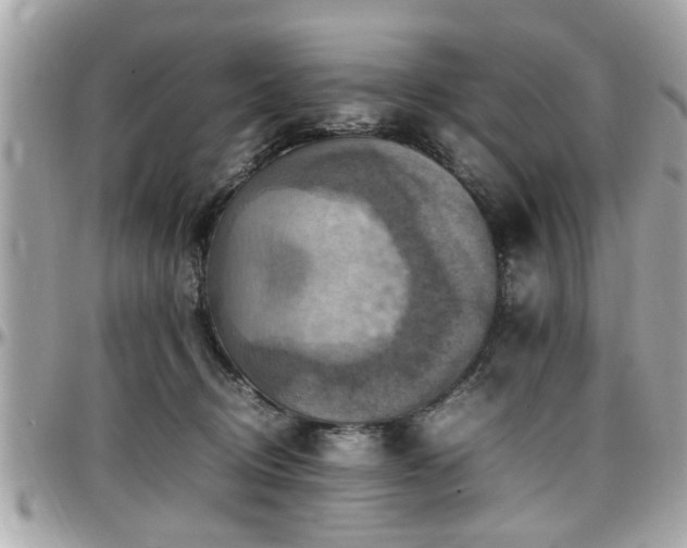 X0000098000370200803241347
