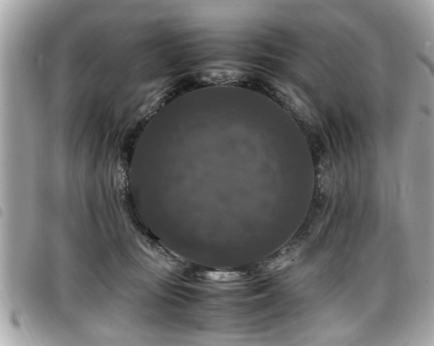 X0000098000371200803241347