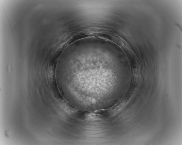 X0000098000372200803241347