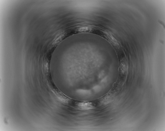 X0000098000375200803241347