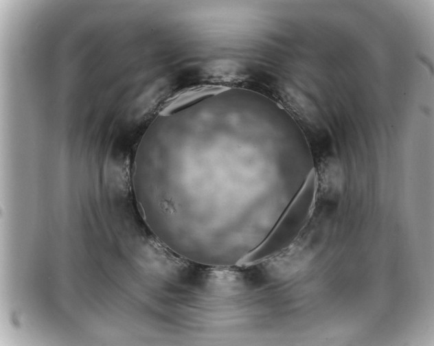 X0000098000376200803241347