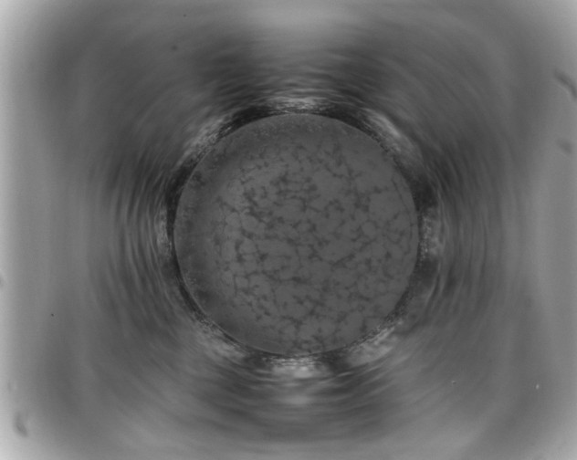 X0000098000377200803241347