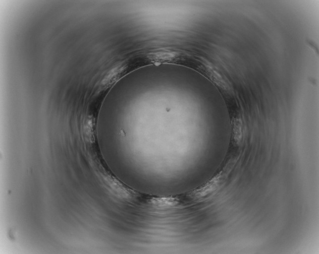 X0000098000378200803241347