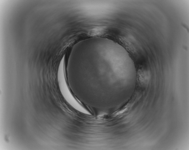 X0000098000380200803241347