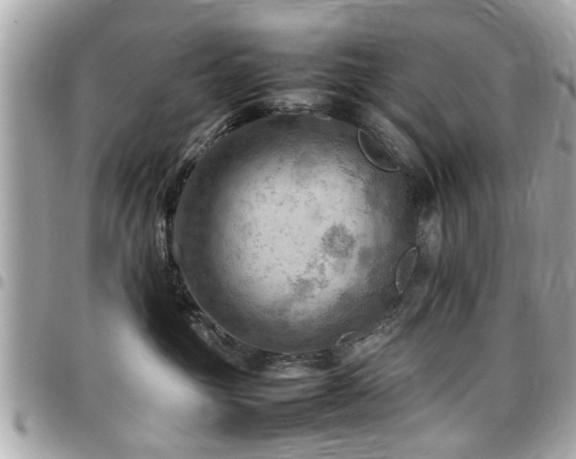X0000098000381200803241347