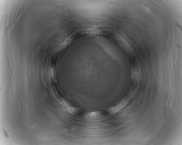 X0000098000382200803241347