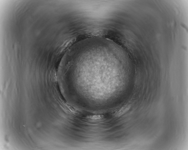 X0000098000384200803241347