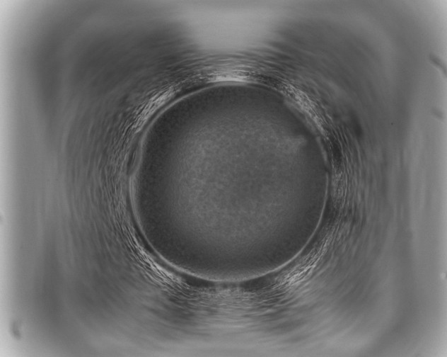 X0000098000385200803241347