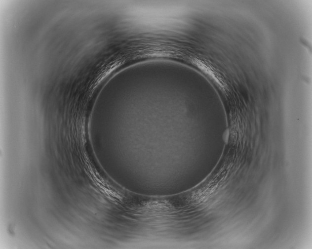 X0000098000386200803241347