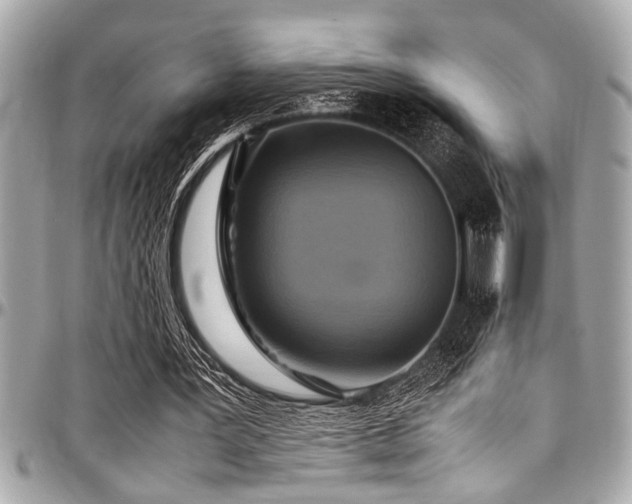 X0000098000387200803241347